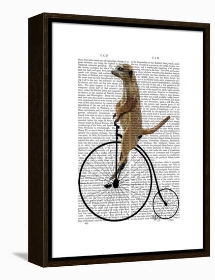 Meerkat on Black Penny Farthing-Fab Funky-Framed Stretched Canvas