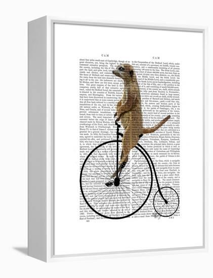 Meerkat on Black Penny Farthing-Fab Funky-Framed Stretched Canvas