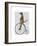 Meerkat on Black Penny Farthing-Fab Funky-Framed Premium Giclee Print