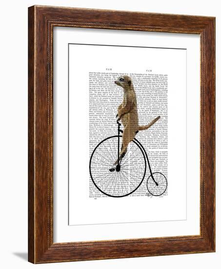 Meerkat on Black Penny Farthing-Fab Funky-Framed Premium Giclee Print