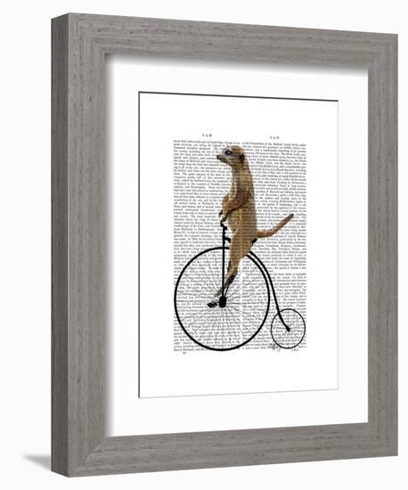 Meerkat on Black Penny Farthing-Fab Funky-Framed Art Print