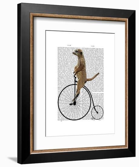 Meerkat on Black Penny Farthing-Fab Funky-Framed Art Print