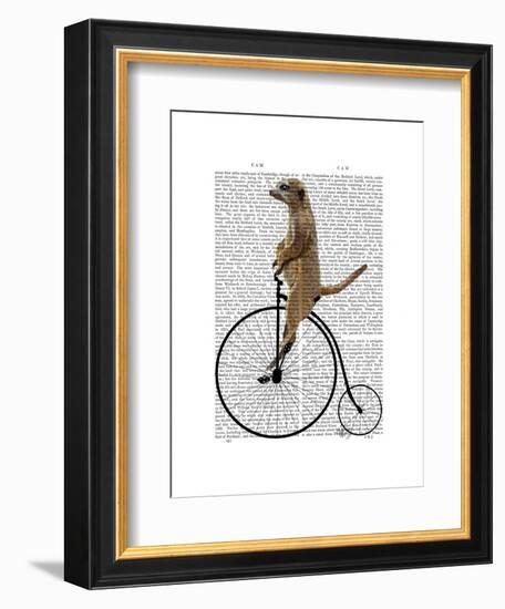 Meerkat on Black Penny Farthing-Fab Funky-Framed Art Print