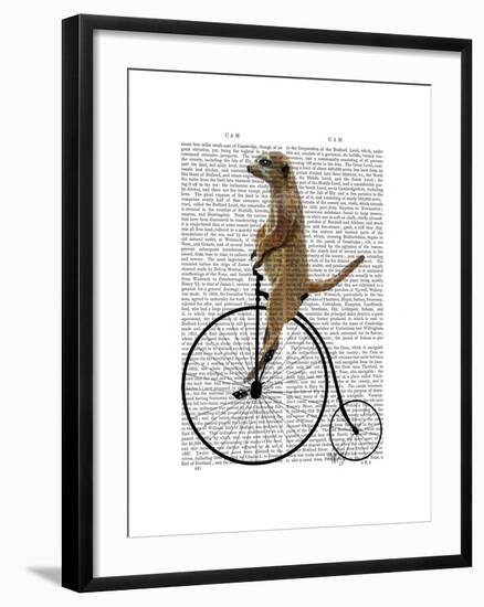 Meerkat on Black Penny Farthing-Fab Funky-Framed Art Print