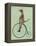 Meerkat on Black Penny Farthing-Fab Funky-Framed Stretched Canvas