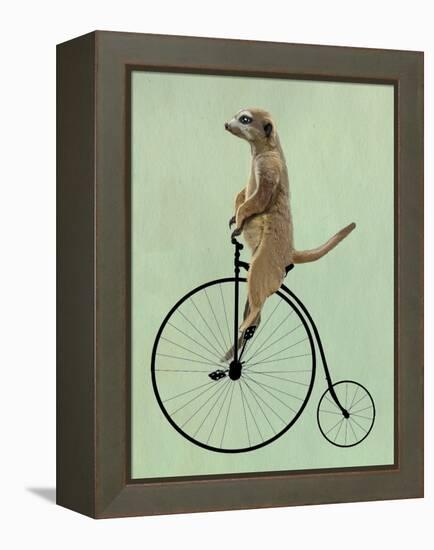 Meerkat on Black Penny Farthing-Fab Funky-Framed Stretched Canvas