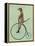 Meerkat on Black Penny Farthing-Fab Funky-Framed Stretched Canvas