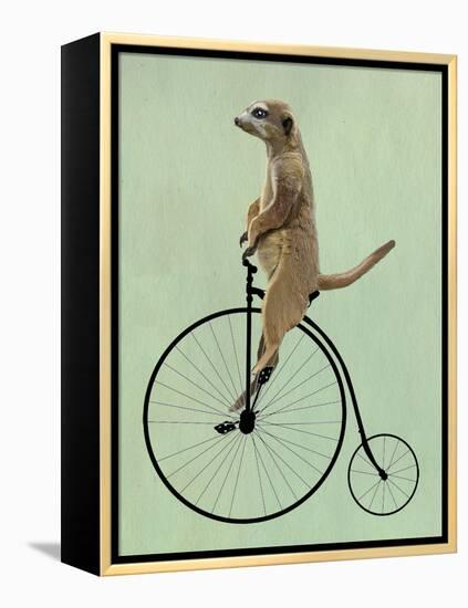 Meerkat on Black Penny Farthing-Fab Funky-Framed Stretched Canvas