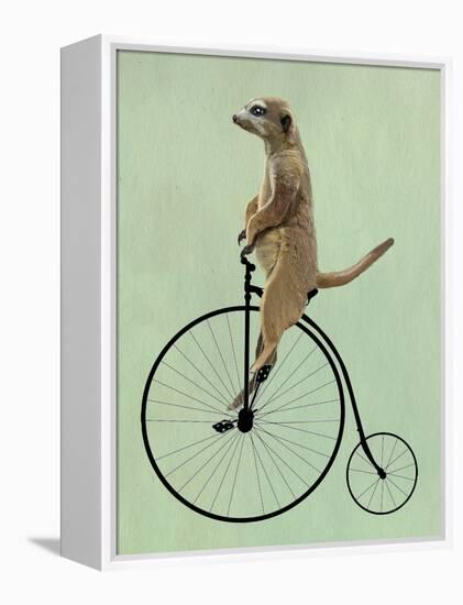 Meerkat on Black Penny Farthing-Fab Funky-Framed Stretched Canvas