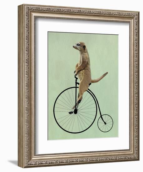 Meerkat on Black Penny Farthing-Fab Funky-Framed Art Print