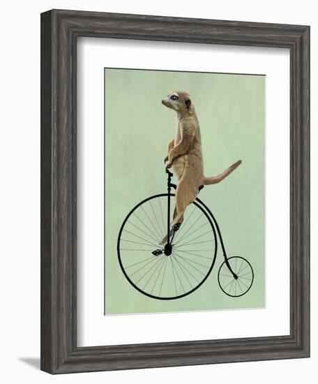 Meerkat on Black Penny Farthing-Fab Funky-Framed Art Print