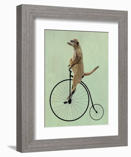 Meerkat on Black Penny Farthing-Fab Funky-Framed Art Print