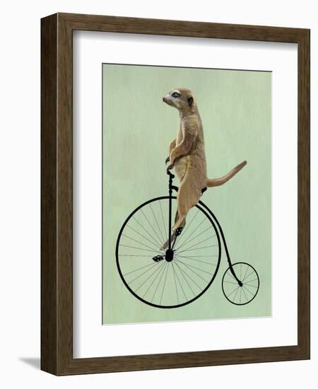 Meerkat on Black Penny Farthing-Fab Funky-Framed Art Print