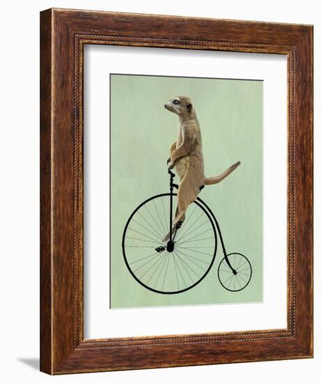 Meerkat on Black Penny Farthing-Fab Funky-Framed Art Print