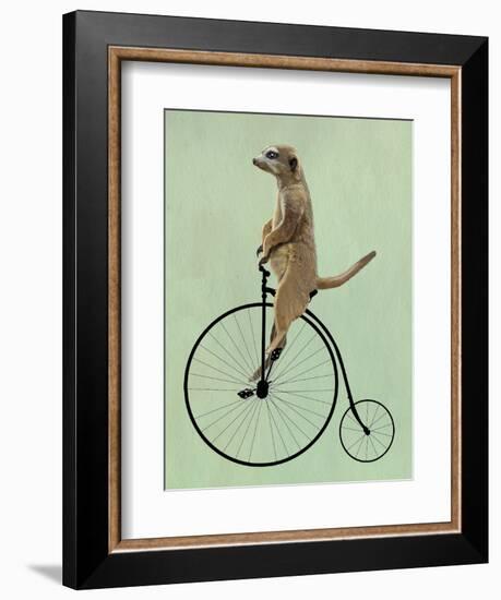 Meerkat on Black Penny Farthing-Fab Funky-Framed Art Print