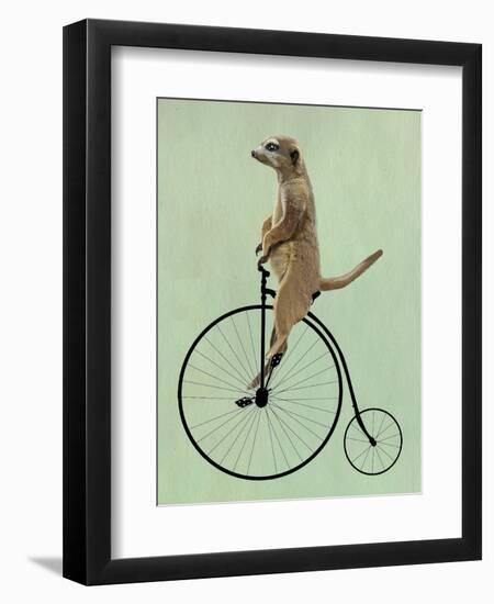 Meerkat on Black Penny Farthing-Fab Funky-Framed Art Print