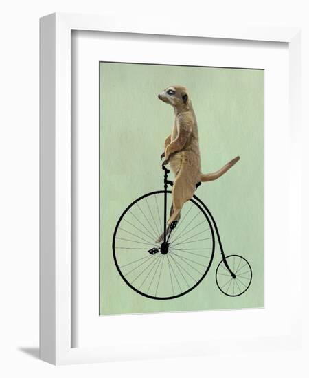 Meerkat on Black Penny Farthing-Fab Funky-Framed Art Print