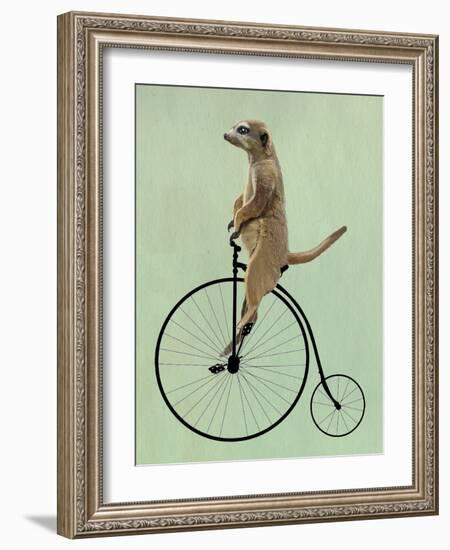 Meerkat on Black Penny Farthing-Fab Funky-Framed Art Print