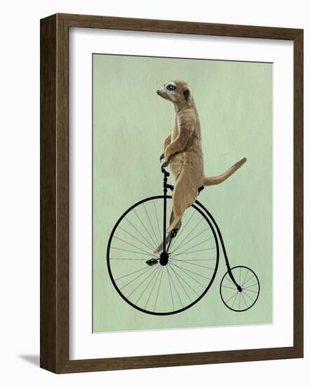 Meerkat on Black Penny Farthing-Fab Funky-Framed Art Print
