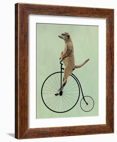 Meerkat on Black Penny Farthing-Fab Funky-Framed Art Print