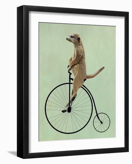 Meerkat on Black Penny Farthing-Fab Funky-Framed Art Print