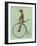 Meerkat on Black Penny Farthing-Fab Funky-Framed Art Print