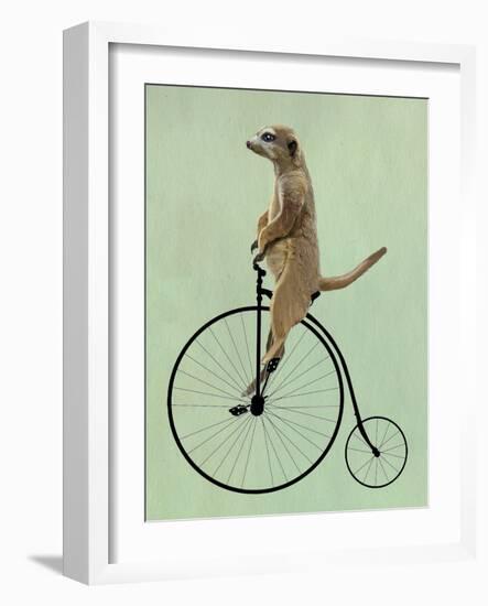 Meerkat on Black Penny Farthing-Fab Funky-Framed Art Print