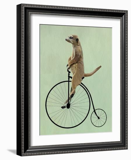 Meerkat on Black Penny Farthing-Fab Funky-Framed Art Print