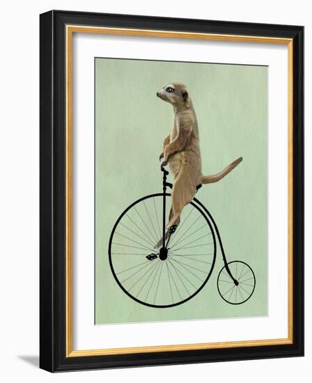Meerkat on Black Penny Farthing-Fab Funky-Framed Art Print