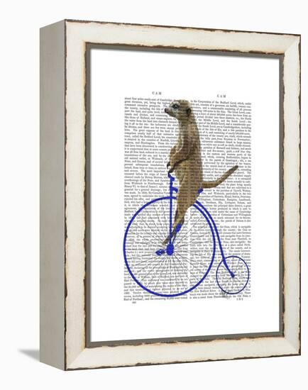 Meerkat on Blue Penny Farthing-Fab Funky-Framed Stretched Canvas