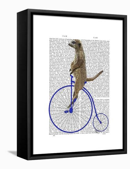 Meerkat on Blue Penny Farthing-Fab Funky-Framed Stretched Canvas
