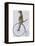 Meerkat on Blue Penny Farthing-Fab Funky-Framed Stretched Canvas