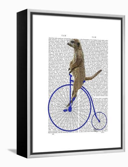 Meerkat on Blue Penny Farthing-Fab Funky-Framed Stretched Canvas