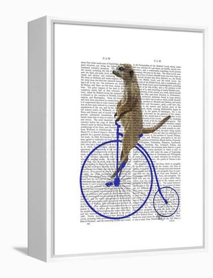 Meerkat on Blue Penny Farthing-Fab Funky-Framed Stretched Canvas