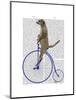 Meerkat on Blue Penny Farthing-Fab Funky-Mounted Art Print