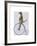 Meerkat on Blue Penny Farthing-Fab Funky-Framed Art Print