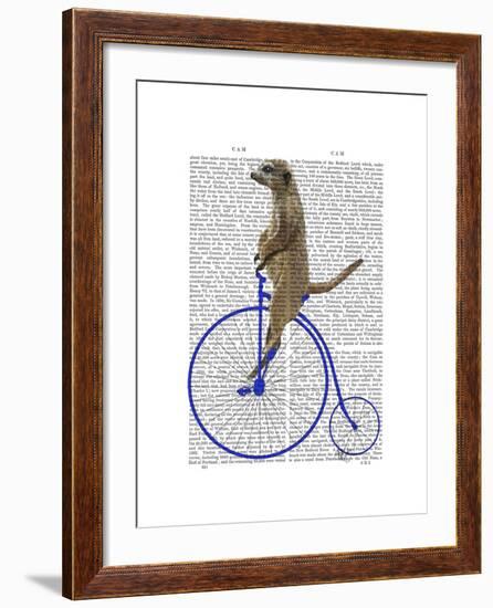 Meerkat on Blue Penny Farthing-Fab Funky-Framed Art Print