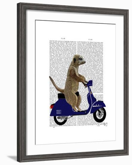 Meerkat on Dark Blue Moped-Fab Funky-Framed Art Print