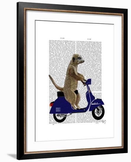 Meerkat on Dark Blue Moped-Fab Funky-Framed Art Print