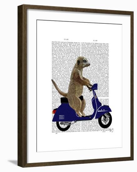 Meerkat on Dark Blue Moped-Fab Funky-Framed Art Print