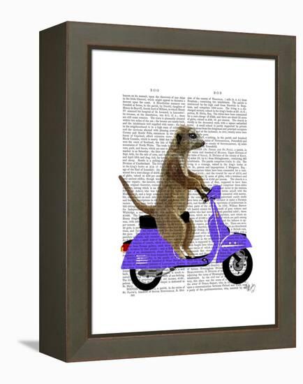 Meerkat on Lilac Moped-Fab Funky-Framed Stretched Canvas