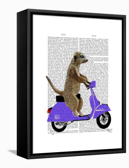 Meerkat on Lilac Moped-Fab Funky-Framed Stretched Canvas