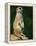 Meerkat on Look-Out, Marwell Zoo, Hampshire, England, United Kingdom, Europe-Ian Griffiths-Framed Premier Image Canvas