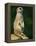 Meerkat on Look-Out, Marwell Zoo, Hampshire, England, United Kingdom, Europe-Ian Griffiths-Framed Premier Image Canvas