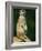 Meerkat on Look-Out, Marwell Zoo, Hampshire, England, United Kingdom, Europe-Ian Griffiths-Framed Photographic Print