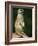 Meerkat on Look-Out, Marwell Zoo, Hampshire, England, United Kingdom, Europe-Ian Griffiths-Framed Photographic Print