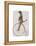 Meerkat on Orange Penny Farthing-Fab Funky-Framed Stretched Canvas