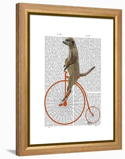 Meerkat on Orange Penny Farthing-Fab Funky-Framed Stretched Canvas