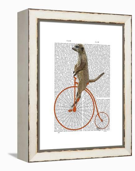 Meerkat on Orange Penny Farthing-Fab Funky-Framed Stretched Canvas