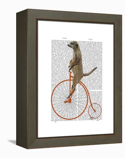 Meerkat on Orange Penny Farthing-Fab Funky-Framed Stretched Canvas